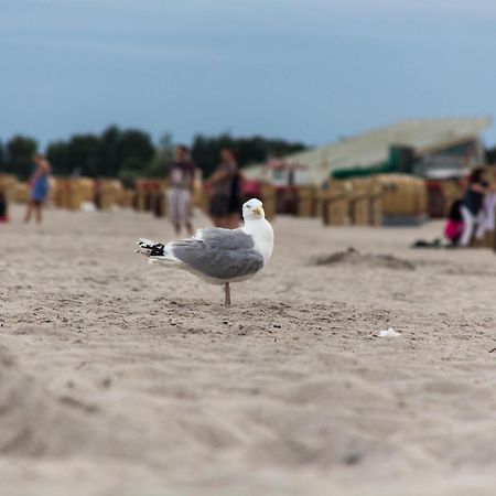 Ferienwohnungen-Neue-Tiefe-Wohnung-Kleiderbuegel Neue Tiefe Fehmarn 외부 사진